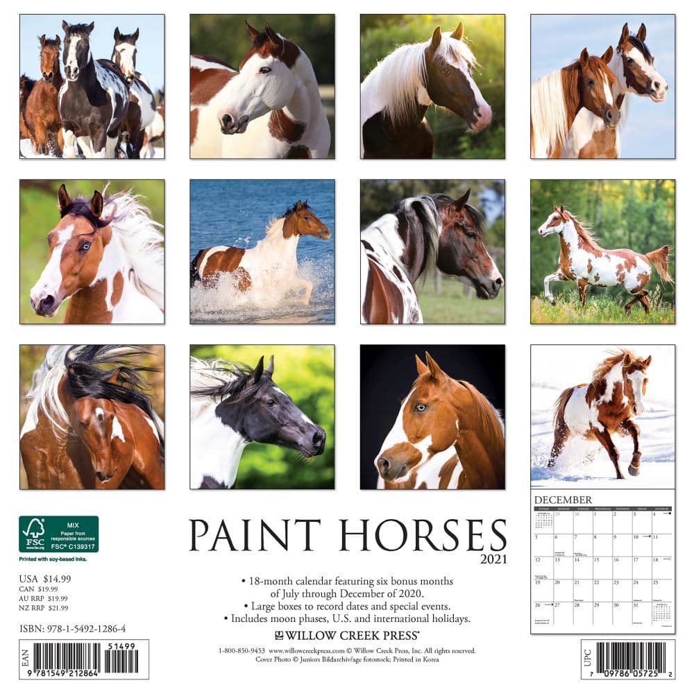 free shipping Paint Horses 2020 Wall Calendar by Willow Creek Press 