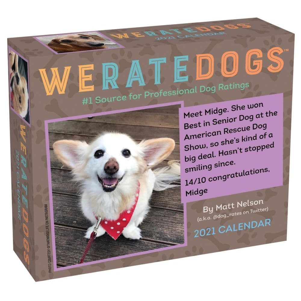 We Rate Dogs Desk Calendar