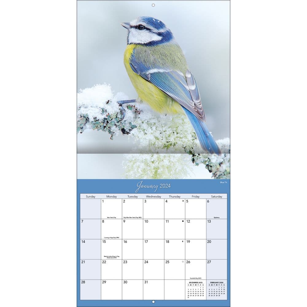 Songbirds 2024 Wall Calendar