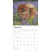 image Pomeranians 2025 Wall Calendar Alt2