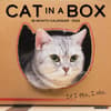 image Cat In A 2026 Desk Calendar 2026 Wall Calendar Main Image