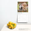 image Kittens And Puppies by Plato 2025 Wall Calendar