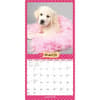 image Puppies in Pink 2025 Wall Calendar