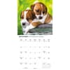 image Puppy Pals Plato Special Value 2026 Wall Calendar Fourth Alternate Image