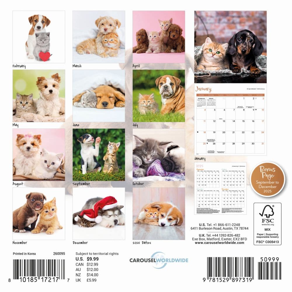 Kittens and Puppies 2026 Mini Wall Calendar First Alternate Image