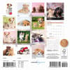 image Kittens and Puppies 2026 Mini Wall Calendar First Alternate Image