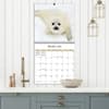 image Baby Animals Photo 2025 Wall Calendar Fourth Alternate Image width="1000" height="1000"