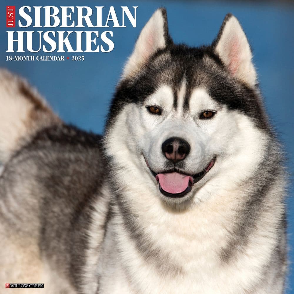 just-siberian-huskies-2025-wall-calendar-calendars