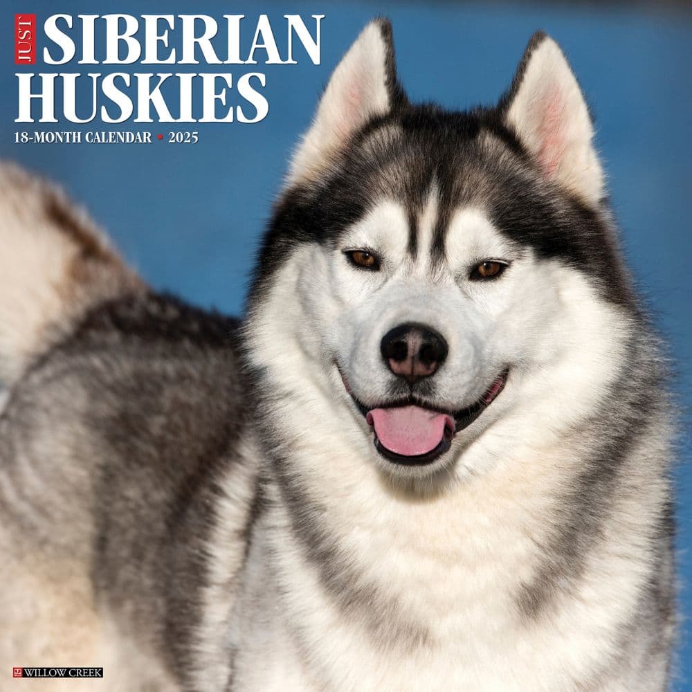 Just Siberian Huskies 2025 Wall Calendar Main Product Image width=&quot;1000&quot; height=&quot;1000&quot;