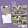 image Lurcher 2027 Wall Calendar First Alternate Image