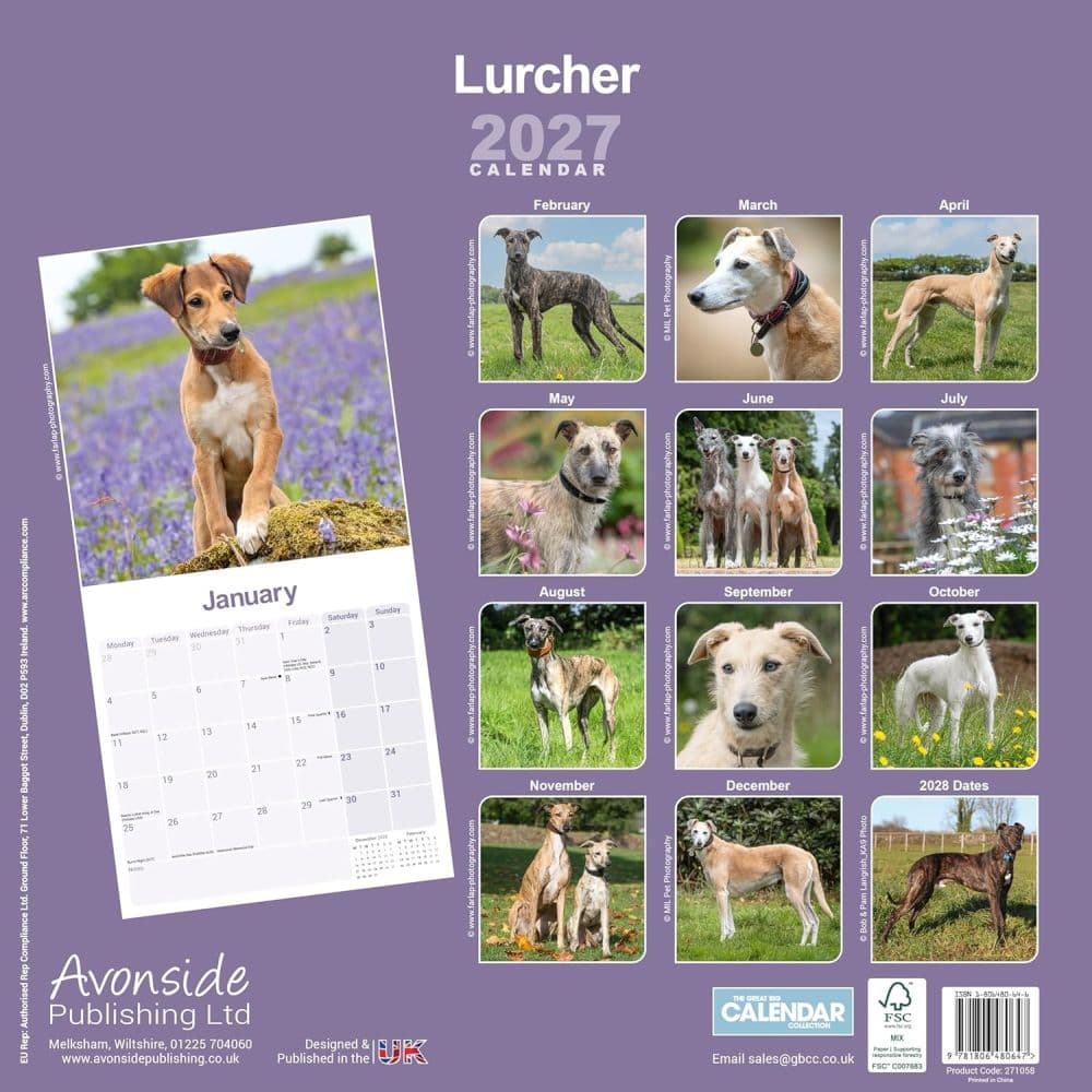 Lurcher 2027 Wall Calendar First Alternate Image
