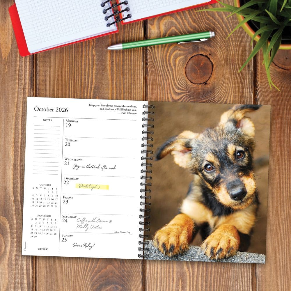 What Dogs Teach Us 2026 Engagement Planner Second Alternate Image