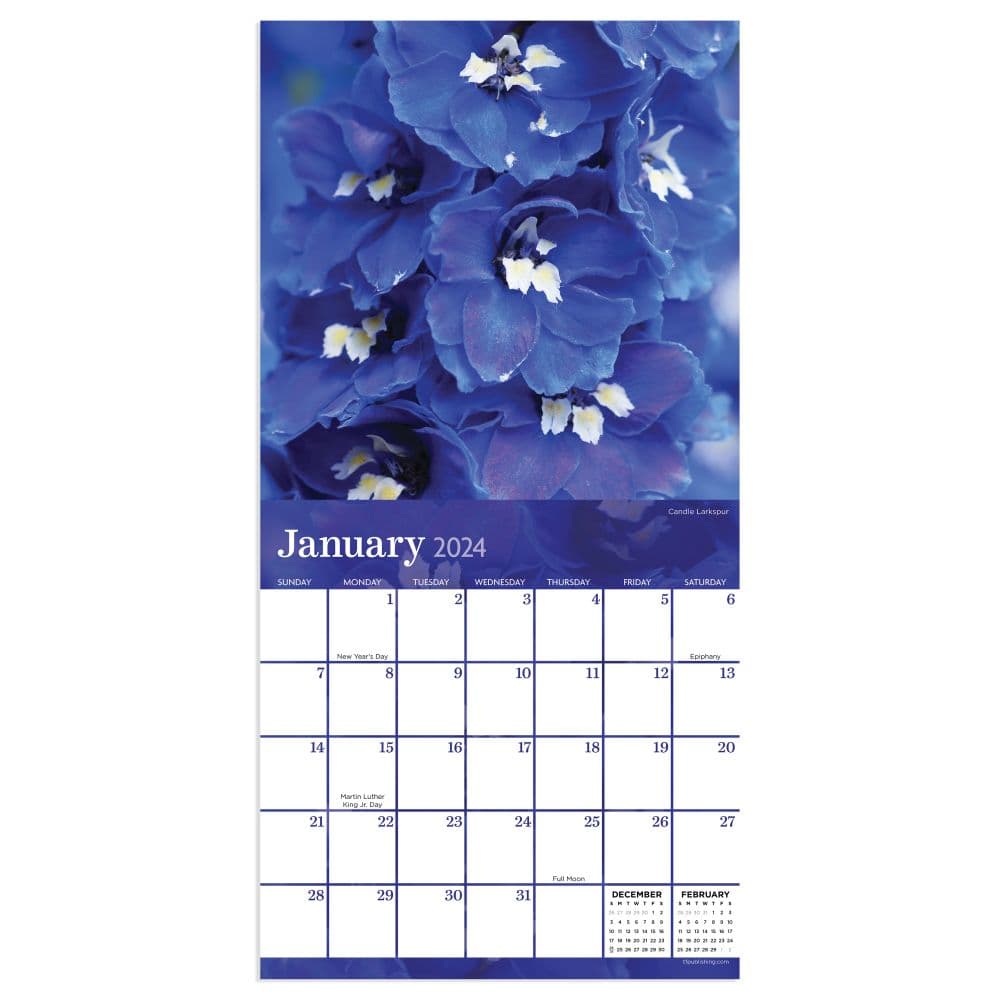 Flowers 2024 Mini Wall Calendar Second Alternate Image width="1000" height="1000"