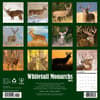 image Whitetail Monarchs 2025 Wall Calendar