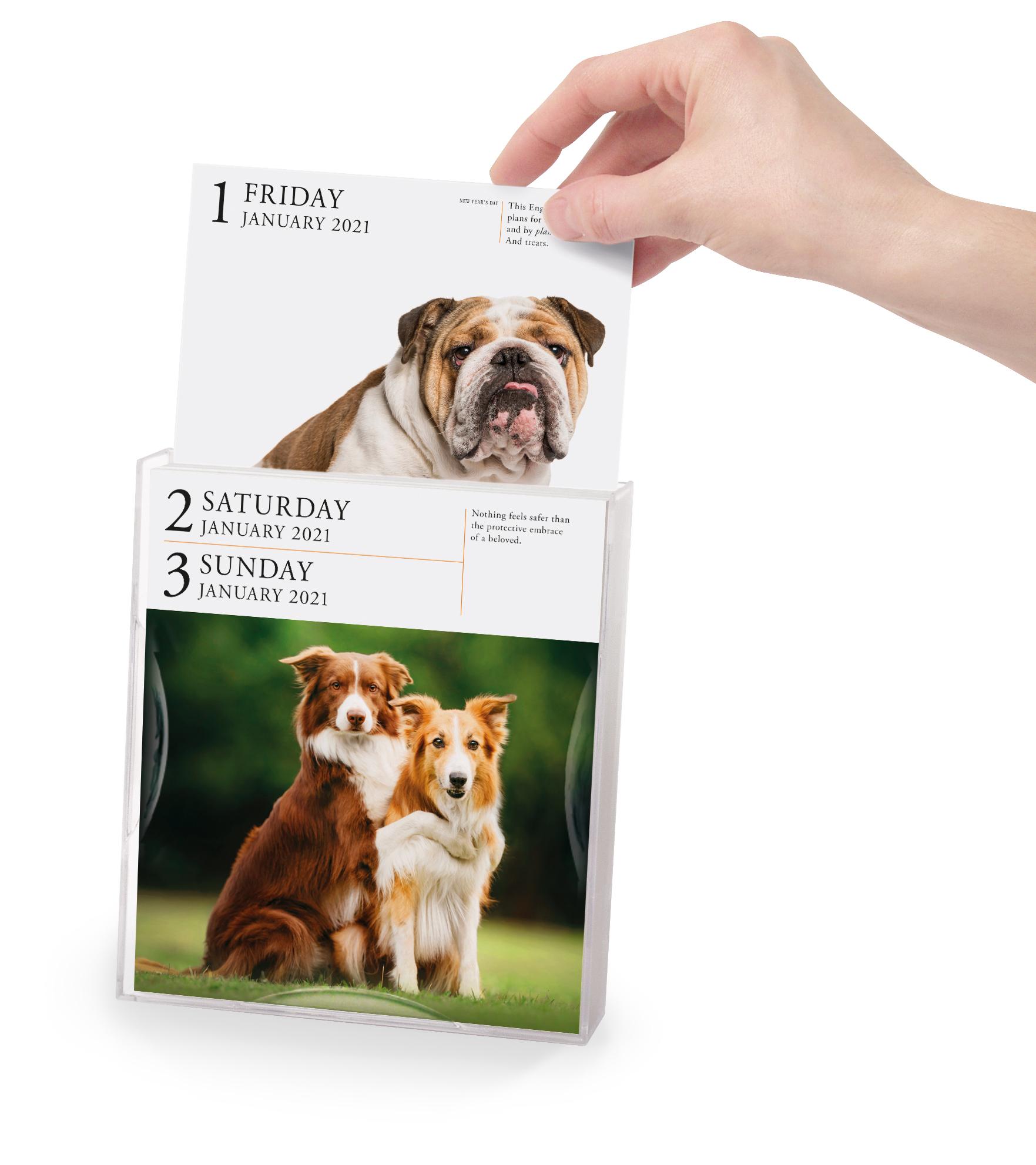 Dog Gallery Desk Calendar