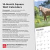 image Horses Quarter 2024 Wall Calendar