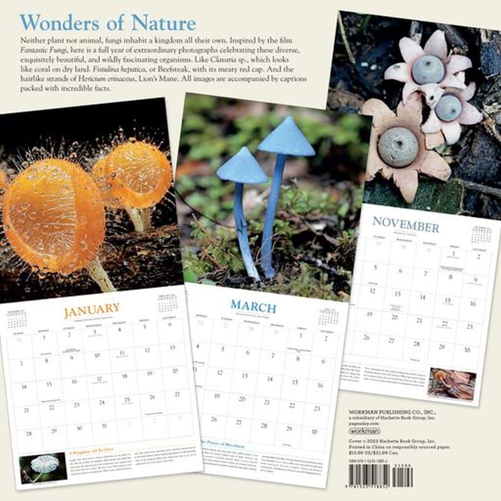 Fantastic Fungi 2024 Wall Calendar Alternate Image 3