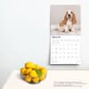 image Basset Hounds 2025 Wall Calendar Third Alternate Image width=&quot;1000&quot; height=&quot;1000&quot;