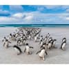 image Penguins WWF 2025 Wall Calendar Third Alternate Image width="1000" height="1000"