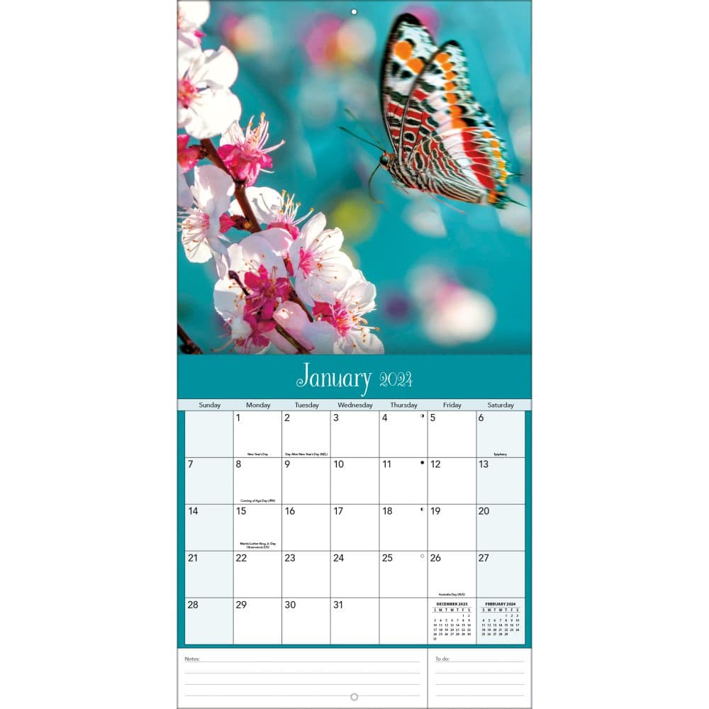 Butterflies Photo 2024 Wall Calendar
