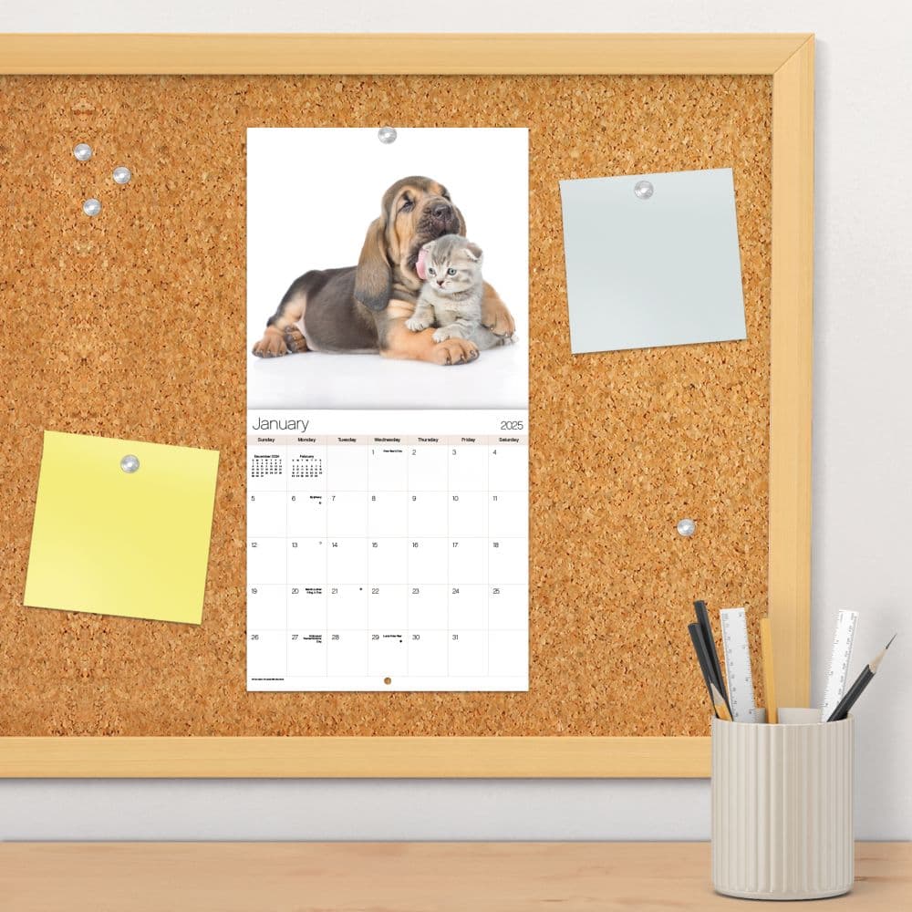 Buddies 2025 Mini Wall Calendar Fourth Alternate Image width=&quot;1000&quot; height=&quot;1000&quot;