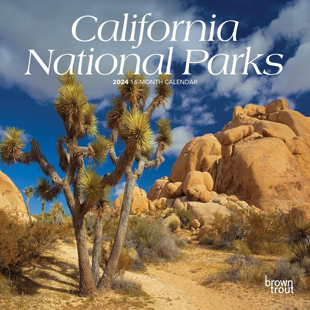 California National Parks 2025 Mini Wall Calendar