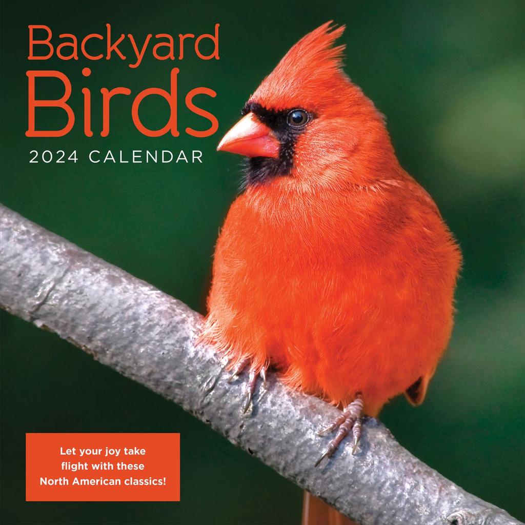 Backyard Birds 2024 Wall Calendar Main Image