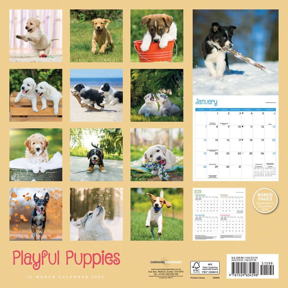 Playful Puppies 2024 Wall Calendar Alternate Image 1
