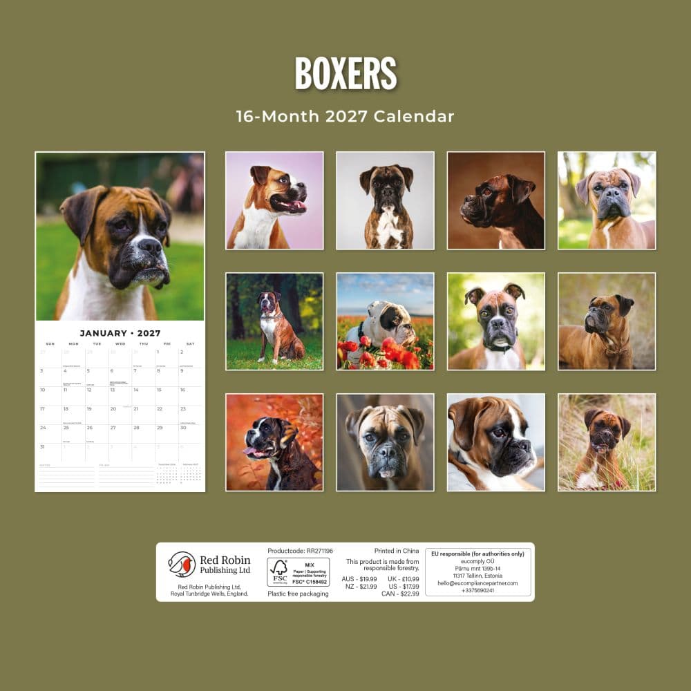 Boxers 2027 Wall Calendar First Alternate Image