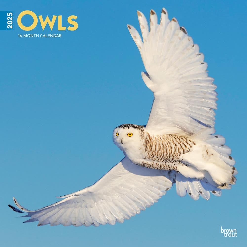 Owls 2025 Wall Calendar