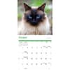 image Siamese Cats 2026 Wall Calendar Fourth Alternate Image