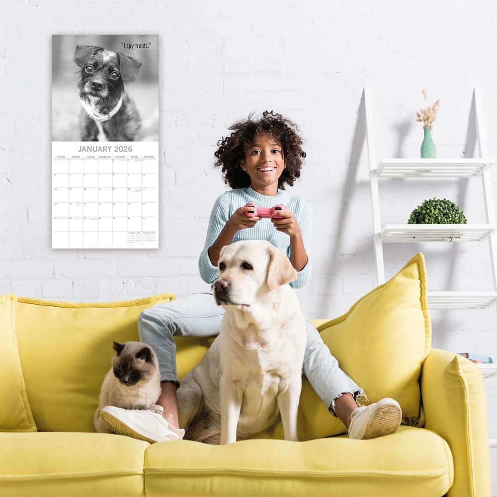 Mutts 2026 Wall Calendar Second Alternate Image