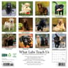 image What Labs Teach Us 2025 Wall Calendar