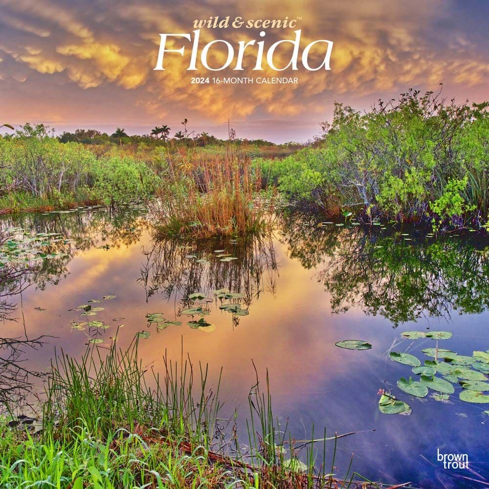 Florida Wild and Scenic 2024 Wall Calendar Main Product Image width=&quot;1000&quot; height=&quot;1000&quot;