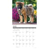 image Just Akitas 2025 Wall Calendar