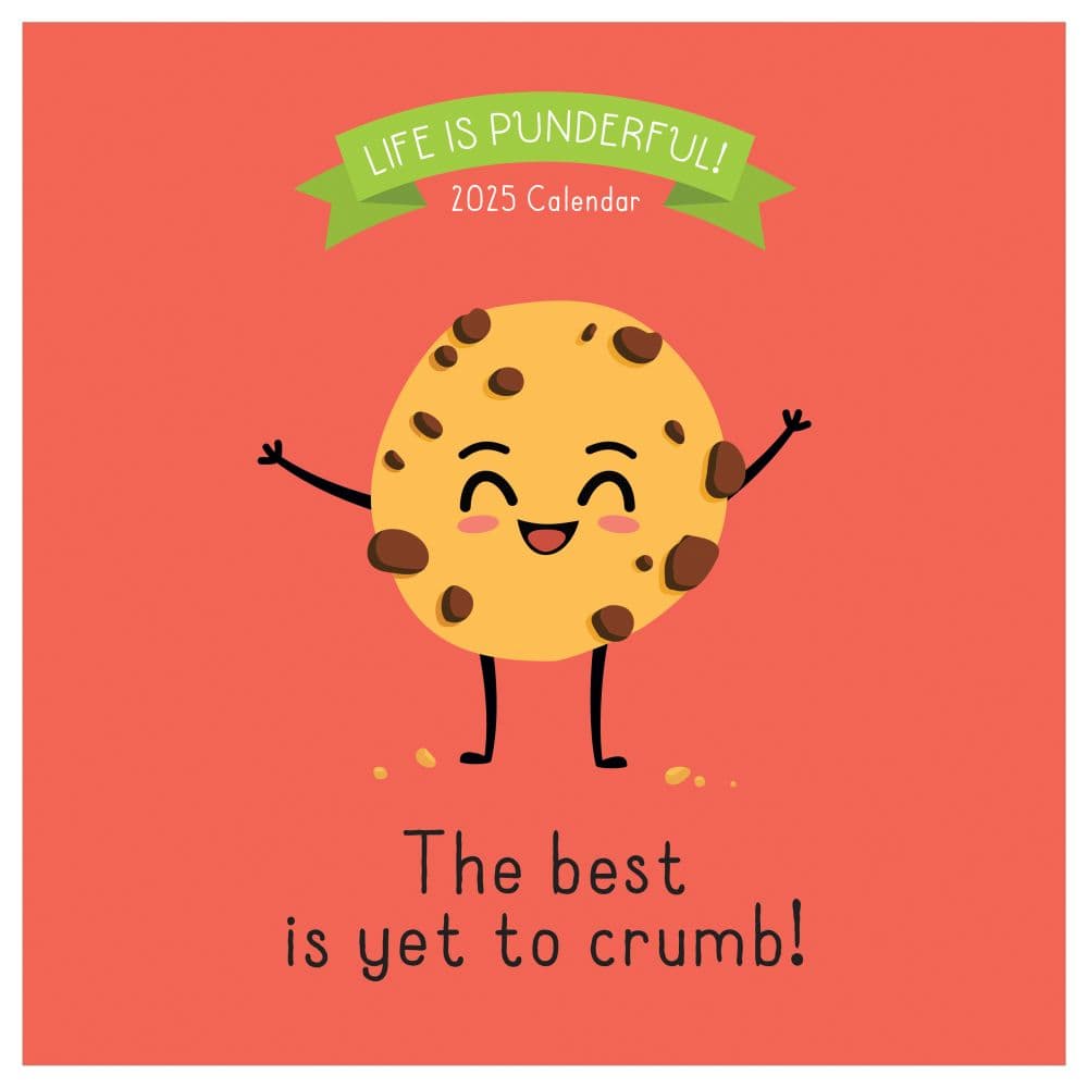 Pun Of The Day Calendar 2025 