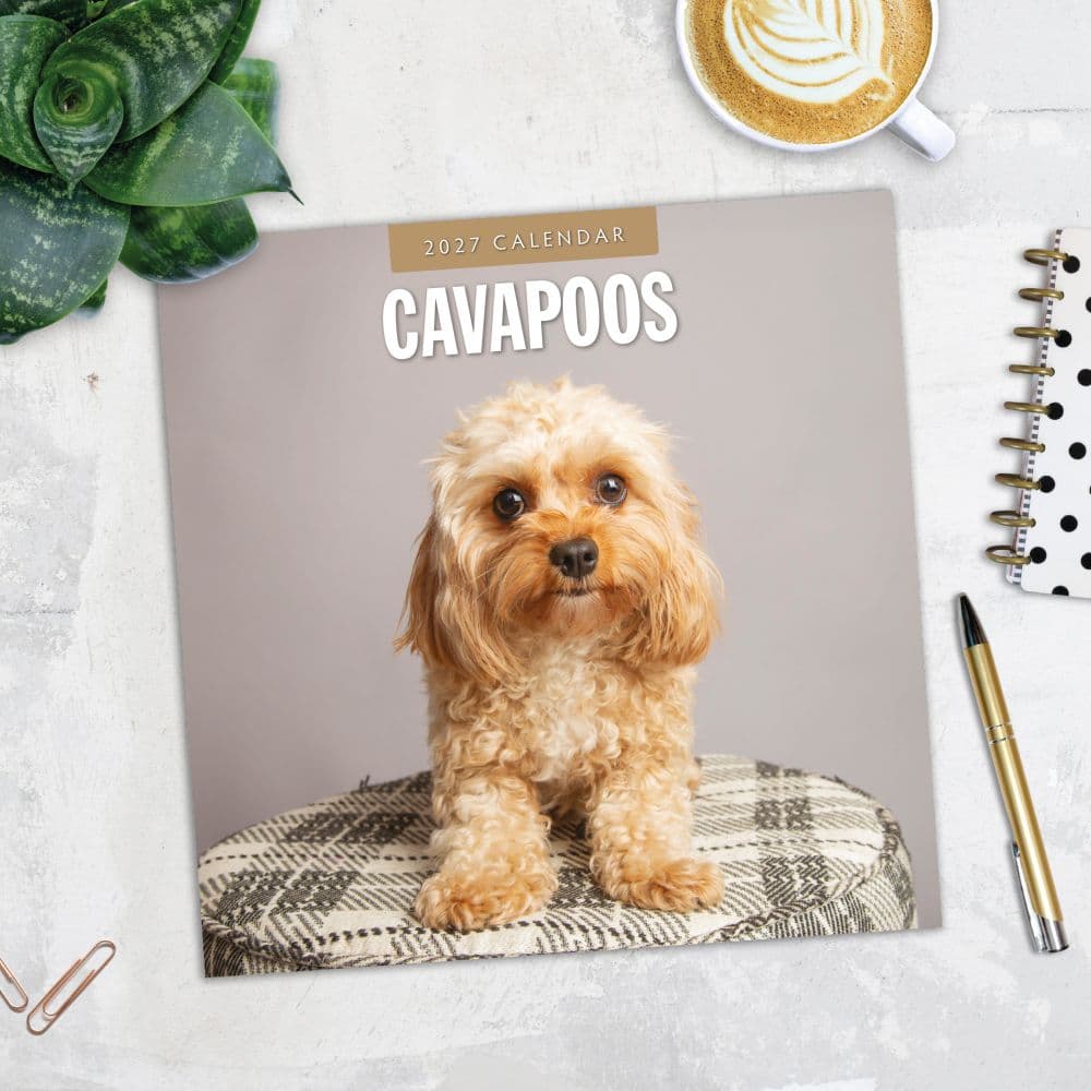 Cavapoos 2027 Wall Calendar Fourth  Alternate Image