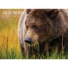image Bears 2026 Wall Calendar Main Product Image