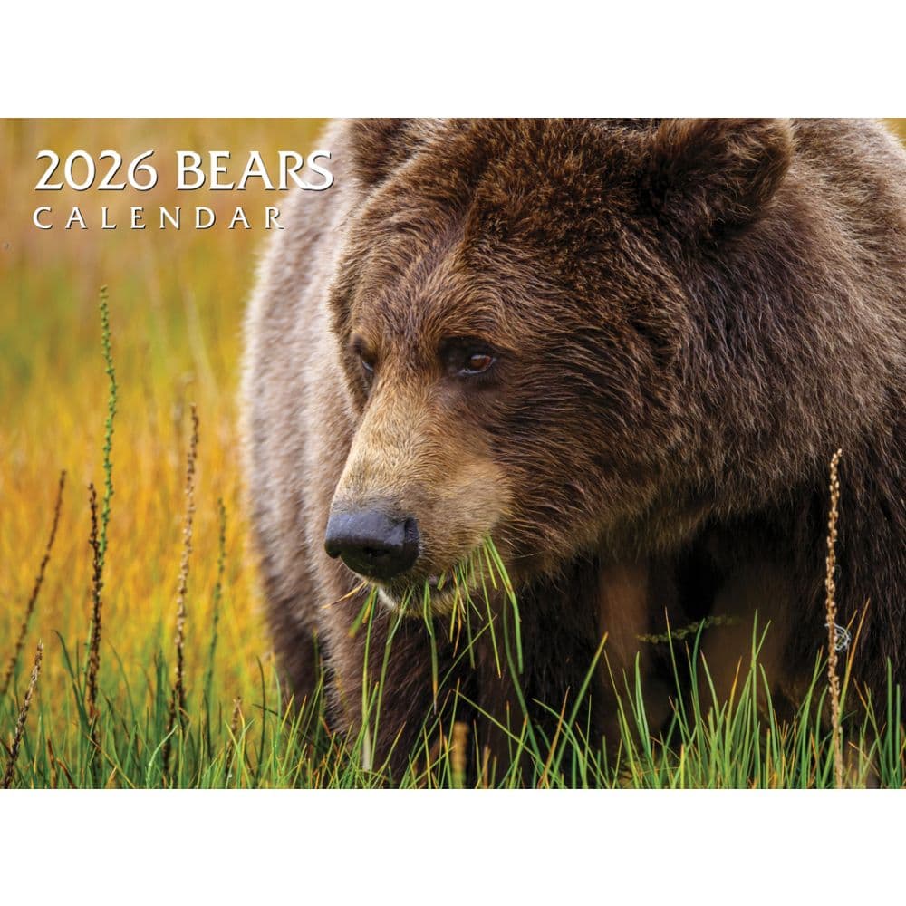 Bears 2026 Wall Calendar Main Product Image