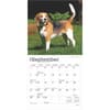 image Beagle 2025 Mini Wall Calendar Third Alternate Image width=&quot;1000&quot; height=&quot;1000&quot;