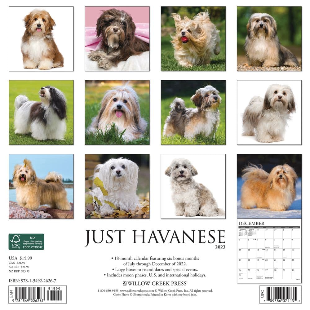 Havanese 2023 Wall Calendar - Calendars.com