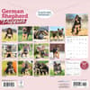 image Just German Shepherd Puppies 2026 Wall Calendar First Alternate Image