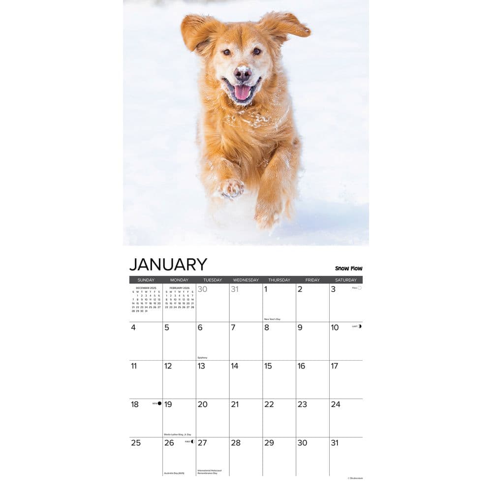 12 Uses For A Golden 2026 Wall Calendar Second Alternate Image