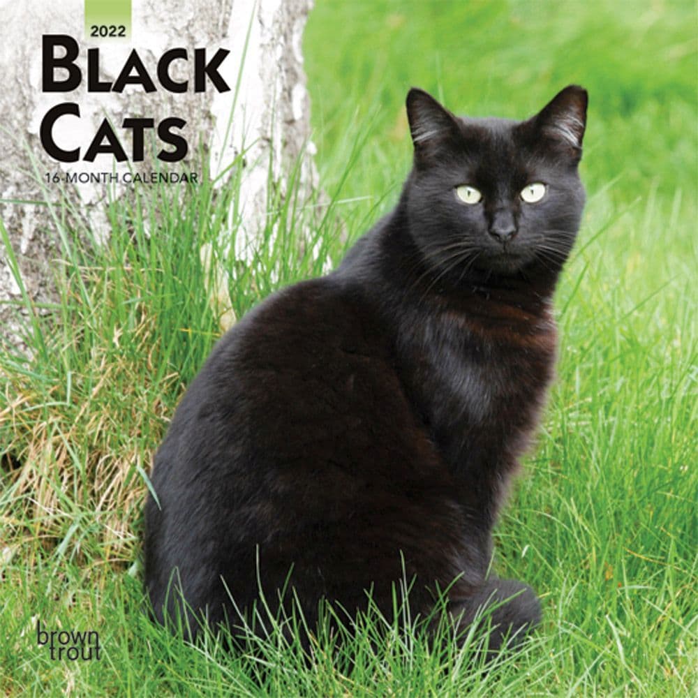 Black Cats 2022 Mini Wall Calendar - Calendars.com