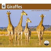 image Giraffes WWF 2026 Wall Calendar Main Image