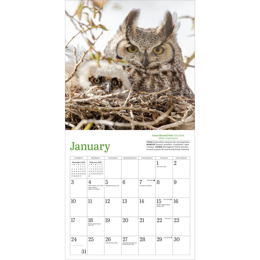 Audubon Little Owls 2027 Mini Wall Calendar Second Alternate Image