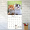 image Kittens 2026 Wall Calendar Third Alternate Image