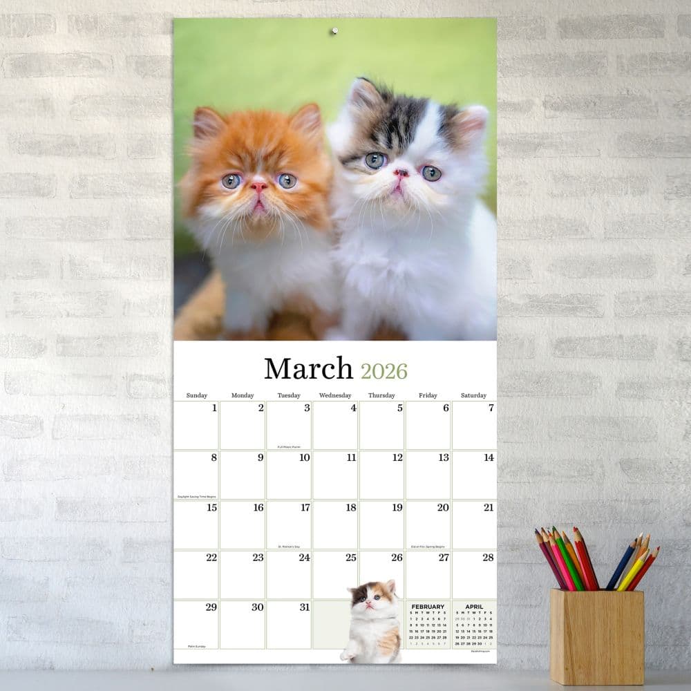 Kittens 2026 Wall Calendar Third Alternate Image