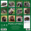 image Porcupines 2026 Wall Calendar