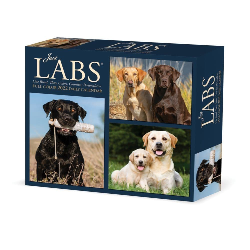 Just Labs 2022 Desk Calendar
